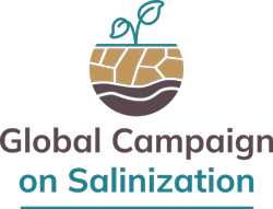 globalsalinization.com
